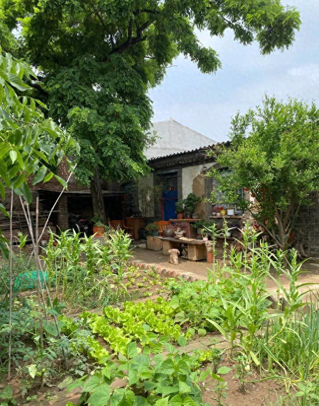 这才是我们小时候的院子	，可惜99%的人已经没有了