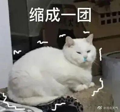 明天起，北京或将入冬！河北这些地方“速冻模式”开启→