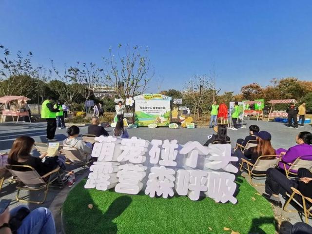 萌宠赛、活力市集、阳光草坪……宝山杨行露营节，解锁文明养宠新时尚