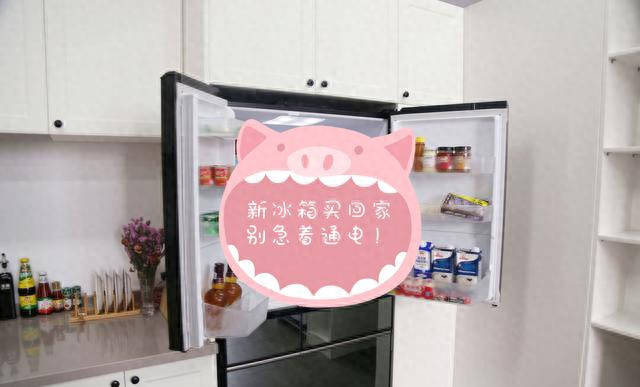 新冰箱要静置多久才能通电（新冰箱买回家）