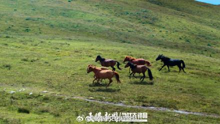 贵州阿西里西大草原今年已接待游客45万余人次