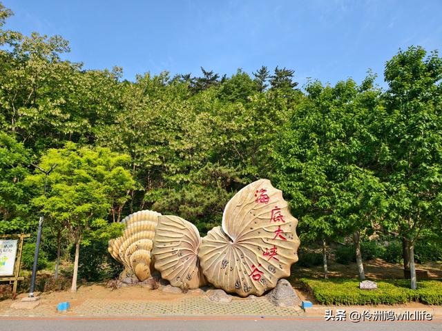 大连海之韵公园·棒槌岛