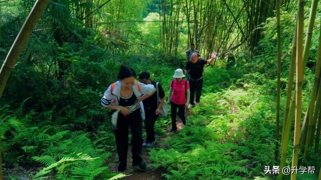 成都邛崃：30多名诗人徒步乾龙湖，纵情书写桑园秀美山川