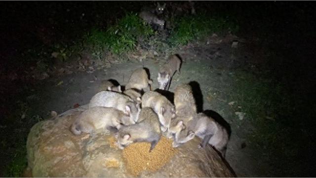 最新资讯-上海又有两个区初次发现！散布地区延续扩大，居民从惧怕到逐步接管(1)