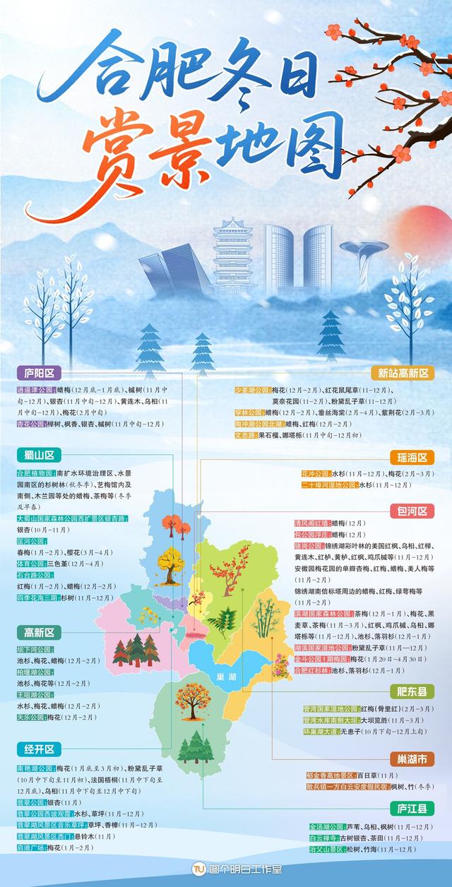 合肥的冬，正把限定浪漫写进倒计时里