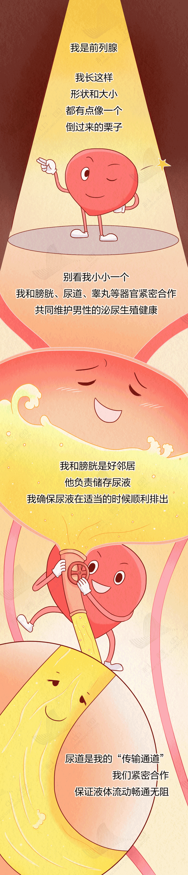 男人逃不掉的一个麻烦：前列腺变大！有这 5 个习惯的人要当心了！