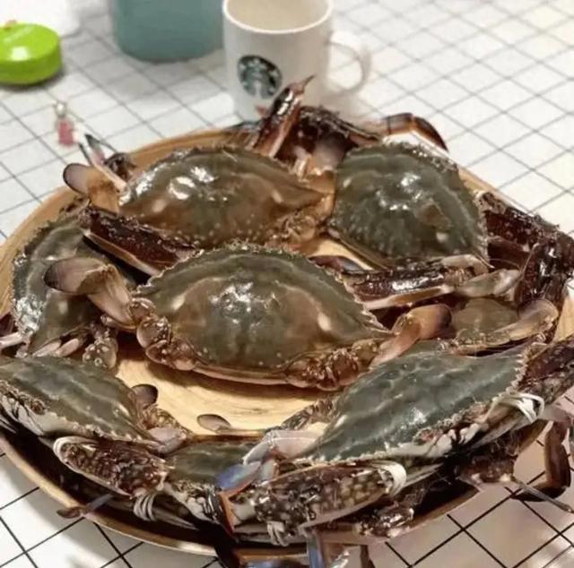 梭子蟹骗局！老渔民怒揭海鲜市场黑幕，看完再也不敢乱买