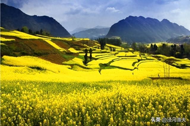 春意盎然：彬州柿林流量破圈后如何变流量为留量