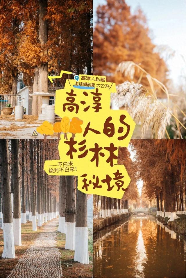 高淳人私藏的绝美秘境