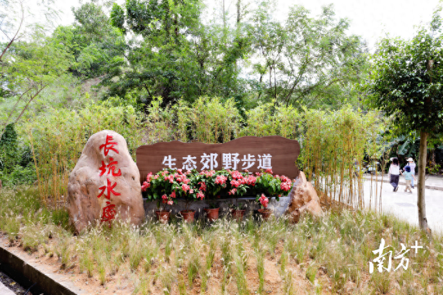 农文旅频现“爆款”，中山有何出圈密码？｜百千万·看中山