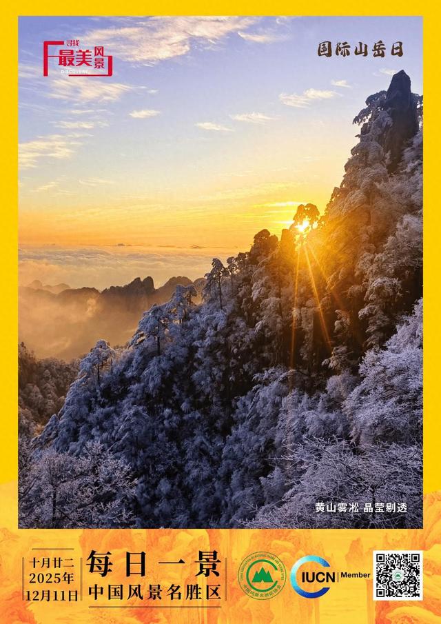 每日一景 | 黄山雾凇 晶莹剔透