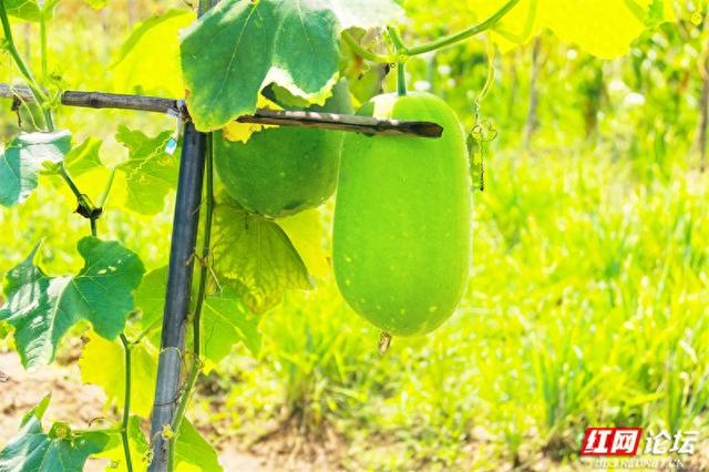 秋游时刻丨这片潇水边的沃土，才是秋天最不该错过的风景