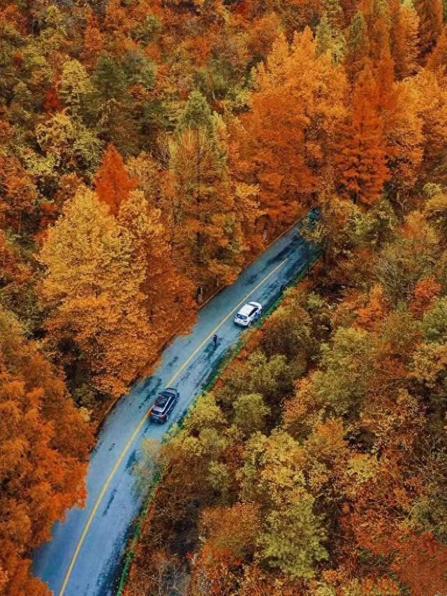 自驾推荐：秦岭·太洋公路 - 漫步在华夏龙脉的彩色画廊