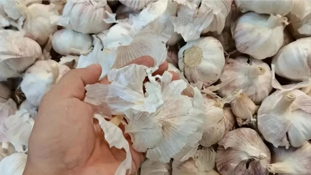 扔大蒜皮就是扔钱，这个用途拿钱买都难，看完立马学