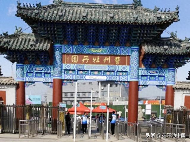 世界上最大牡丹园藏在中国 品种比你想象的多100倍