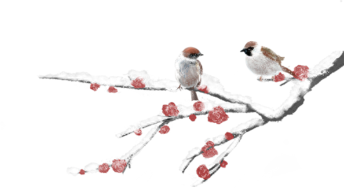 已确认！无锡梅园即将开园