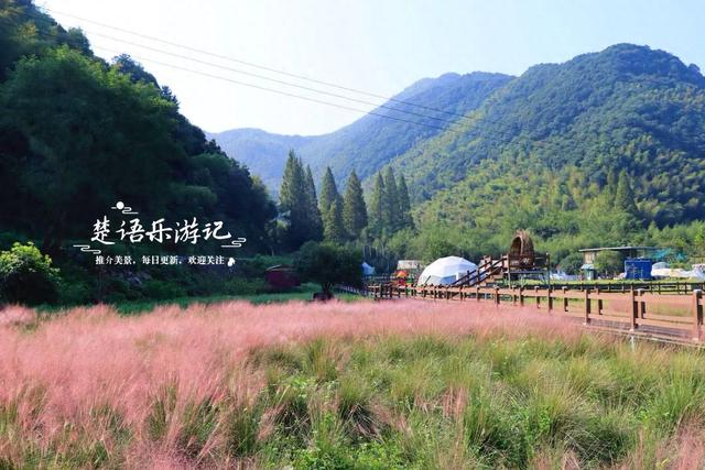 浙江宁波的山谷粉黛花海背山面溪，幽静而浪漫，周边景色更加迷人
