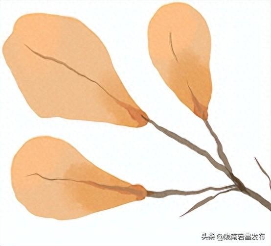 官鹅秋韵：在层林尽染中遇见“秋水天长”