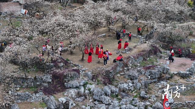 徒步赏花、招商赋能！阳山杨梅镇水浪花谷人气爆棚，奏响农文旅融合新乐章