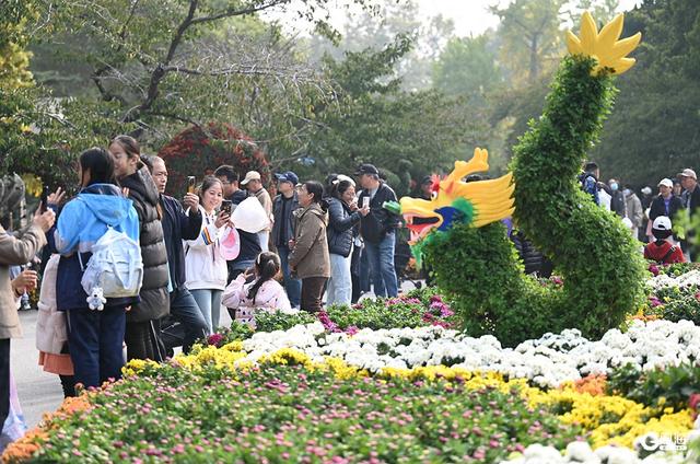 让淡季旅游“热”起来，青岛奉上丰富多彩的文旅主题“大餐”