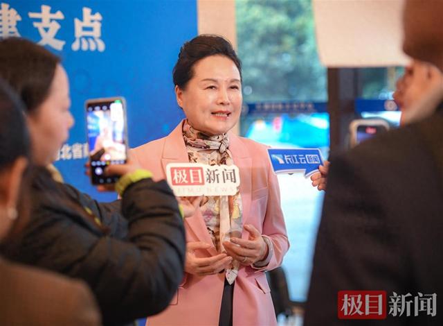 秦商总会会长崔荣华：秦楚文化相通地缘相近，期待携手文旅康养合作