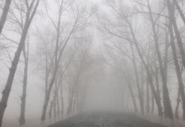 冬跑遇“朦胧”别硬冲！3招分清雾与雾霾，夜跑vs晨跑答案藏在这