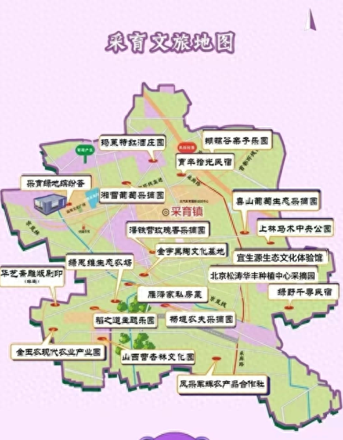 大兴采育：葡萄之乡“嫁接”数字时尚