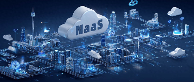 为什么新兴行业更需要 NaaS？