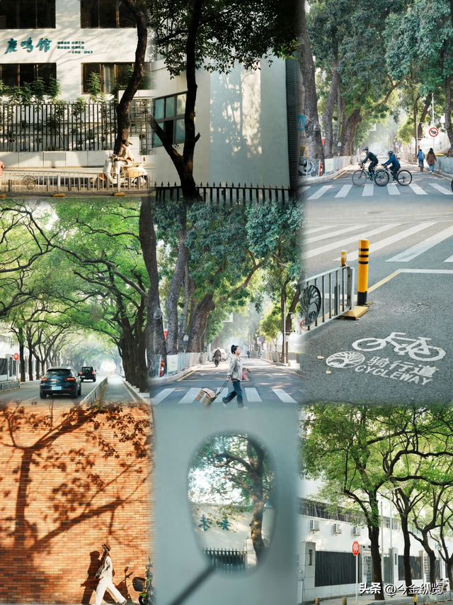 深圳这路承载几代人悲欢！2.3公里藏半生，老蛇口人为何念念不忘