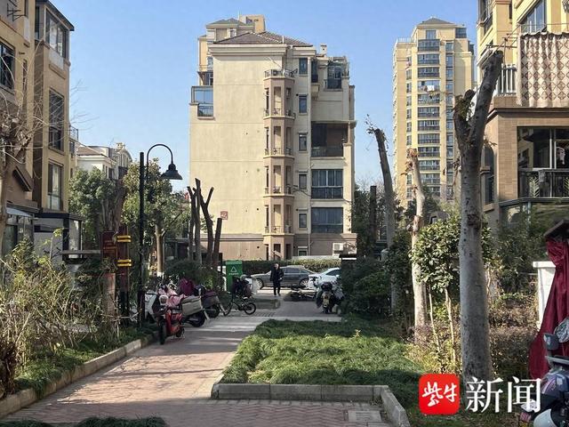 小区绿化优化（问政江苏｜采光绿化难兼顾苏州一小区树木被疑过度修剪）