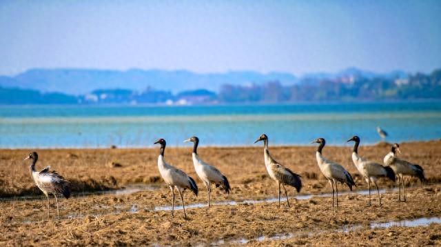 我跟男朋友在昭通呆了两年，终于明白，为啥大家都来昭通了