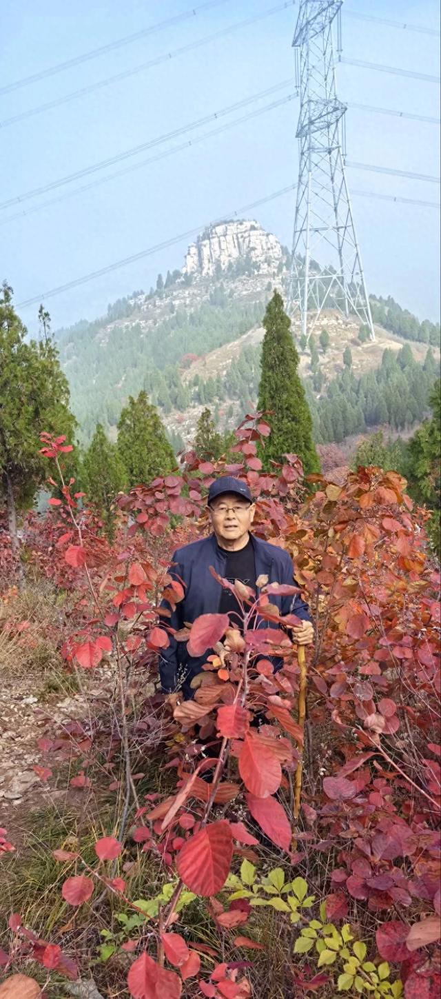 去博山盆泉张丹顶赏红叶