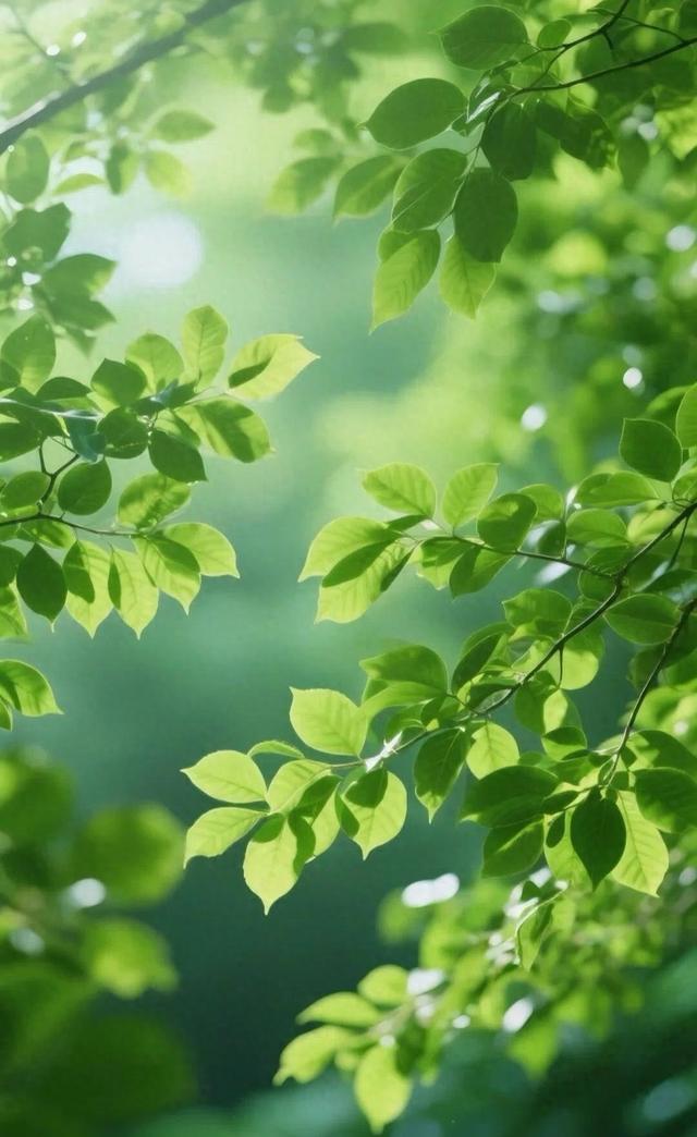 #治愈系风景 #清新美景