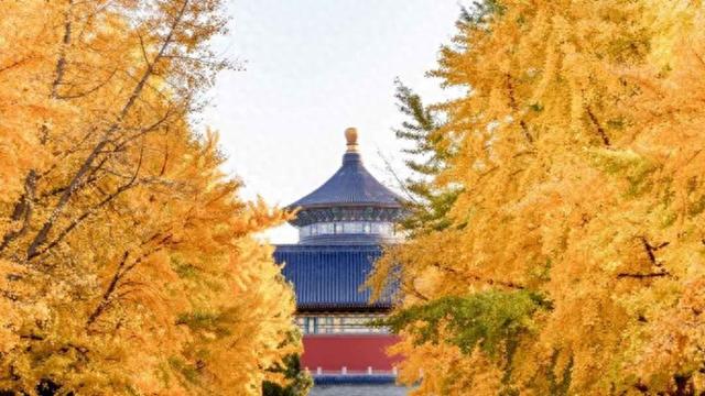 夜读｜赵款款：北京的秋冬之交