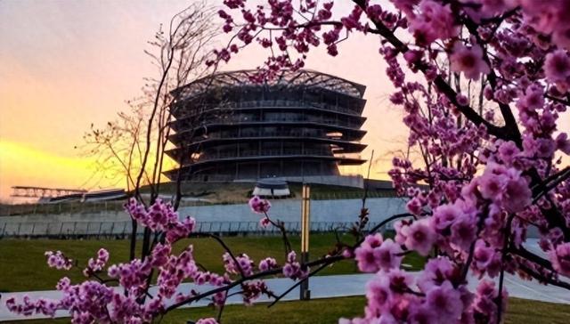 寻找最美春天 | 山东日照：繁花 “织” 就浪漫城