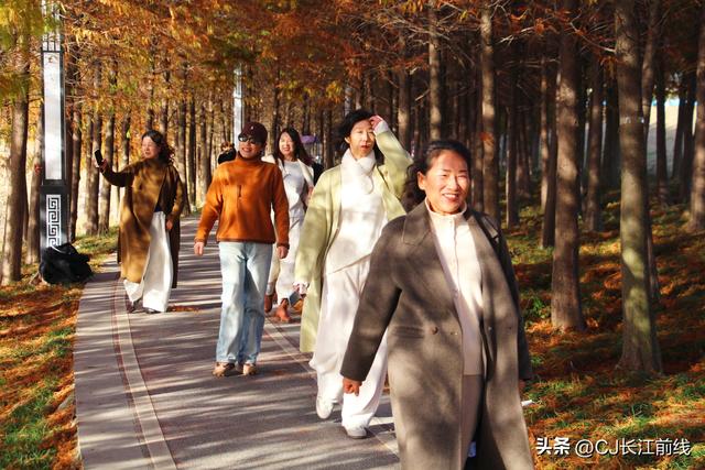 河南淮滨：落羽杉红了，美女们来啦！