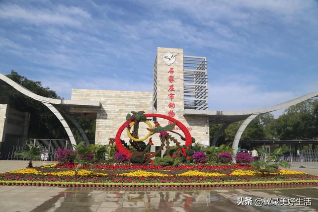 石家庄：庆双节 乐享动物园