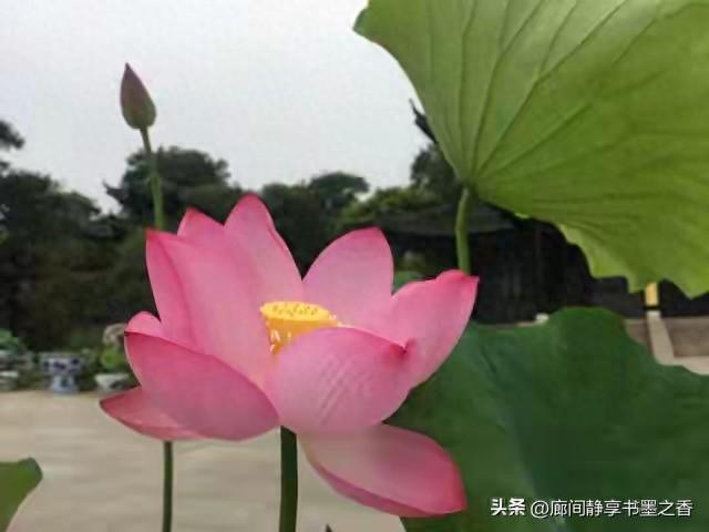 2025年9月29日 第4页