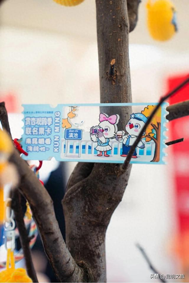 来昆明的第一件事！当然得先拥有一张赏杏观鸥季联名票卡→