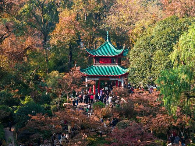 2025年岳麓山第19届红枫季焕新登场，四大主题活动解锁文旅盛宴