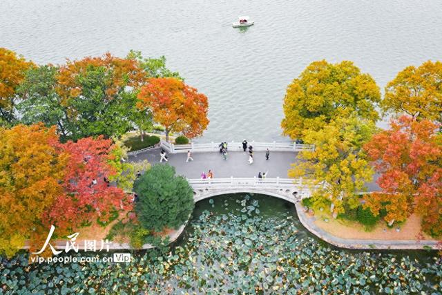 江苏南京：玄武湖秋景如画