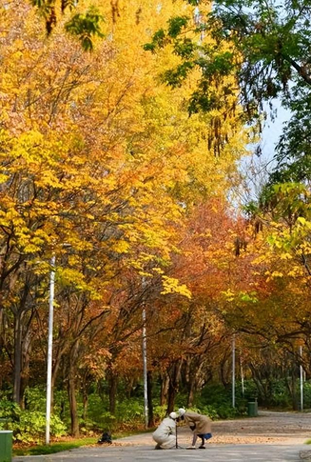 五彩斑斓的白龟湖国家湿地公园