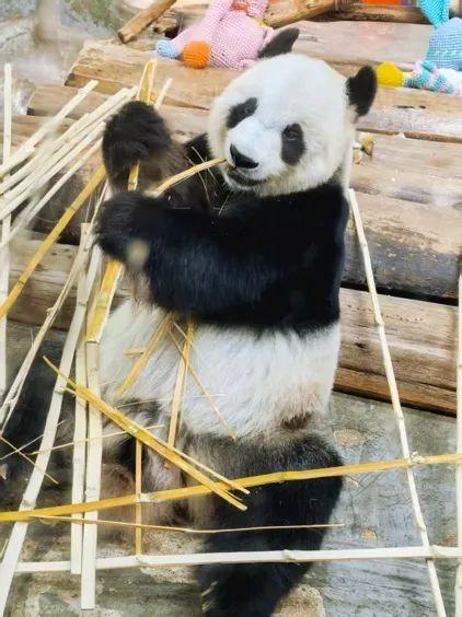 《户外向前冲》第四季海南篇正式开机！打卡生态宝岛，传承人文风情