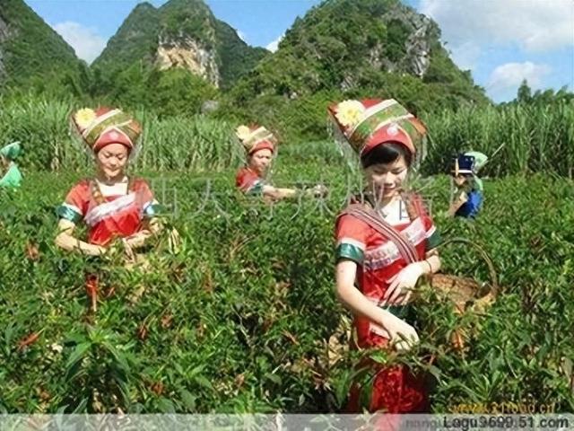 天等辣味记