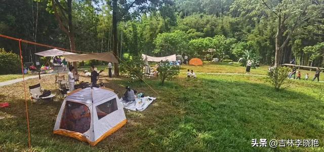 飞放,飞放,飞放心情一一黄埔麦村冬一日