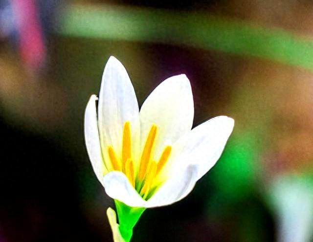 人生有你足矣唯美句子（爱你入心入骨）