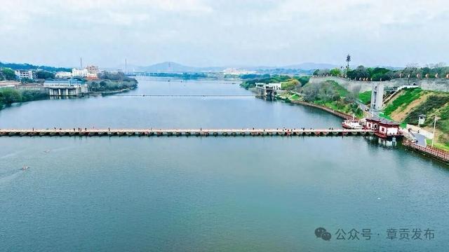 开春了！去西河浮桥，走一趟“最赣州”的过江方式