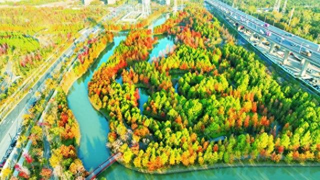 景点未开先“红”怎么办丨新民快评