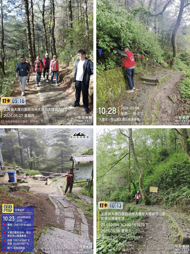 大理苍山玉带路发现野生黑熊·追踪丨清碧溪登山步道12日恢复开放