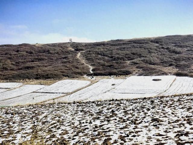 古丰初冬：雪粘褐野，甜裹寒枝